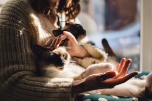 استرس کاهش با حیوان خانگی - showing a person petting a cat to relieve استرس