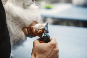 ناخن حیوان خانگی, Safe Nail Trimming for Dogs and Cats
