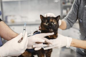 واکسن